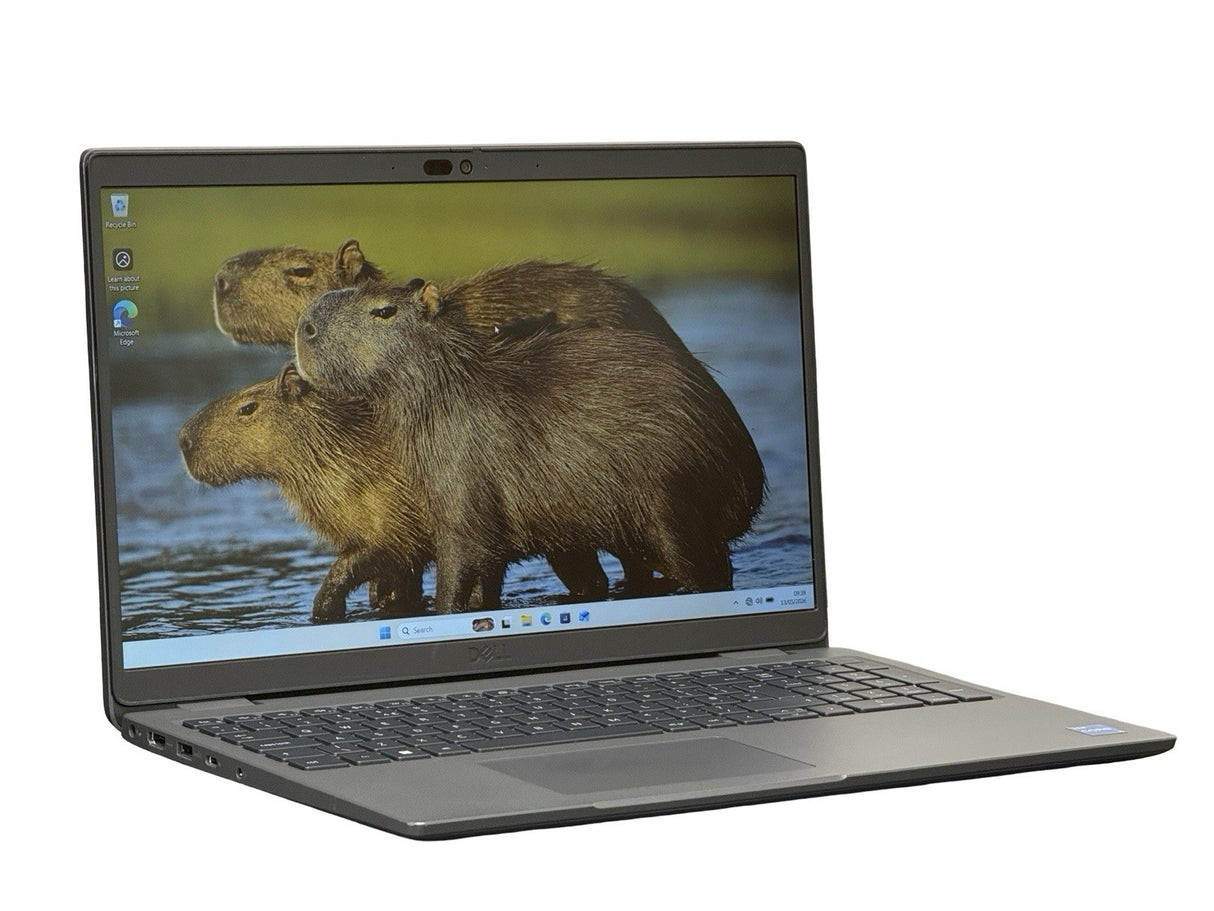 Image #5